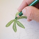 peinture au crayon cire