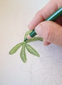 peinture au crayon cire